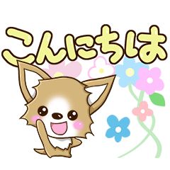 Chihuahuas and flowers