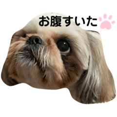 miki_20210206200013