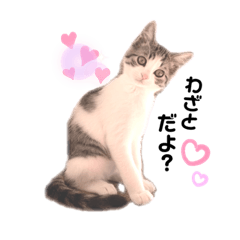 chisa_20210206212033