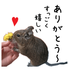 Degu pattern Stickers