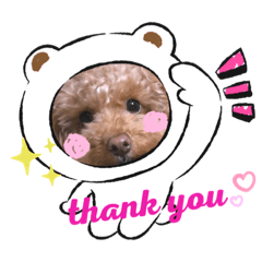 honey_20210206220305