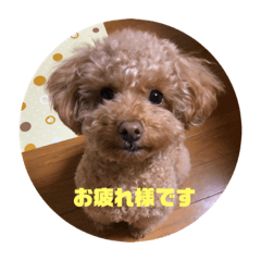 honey_20210206221430