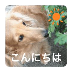 nanami_20210206230137