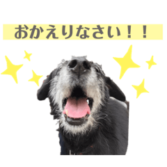 kazuki_20210206232754