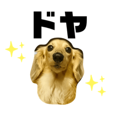 Asuka_20210207103844