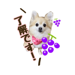 yukari_20210207021723