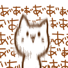 a fluffy cat 1