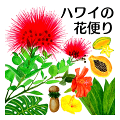 Tidings of Hawaiians Flower