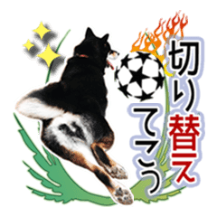 黒柴犬の♡サッカー応援♡スタンプ01