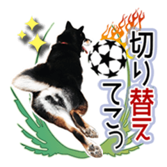 黒柴犬の♡サッカー応援♡スタンプ01