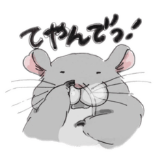 chinchilla story