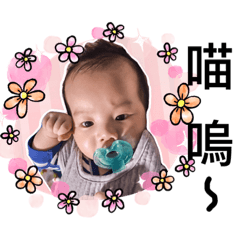 我是可愛的小肉鬆