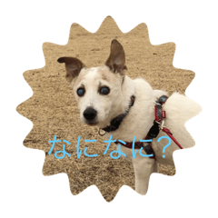 Chris_20210207134344