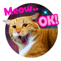 Meow Galaxy (English Version)