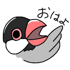 The luster of Java sparrows