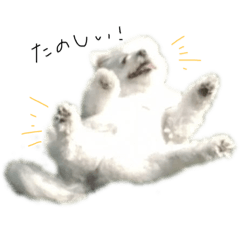 yamada_20210207152307