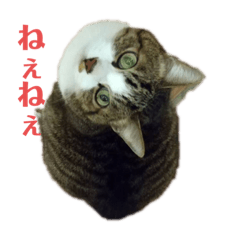 ayumi_20210207161752