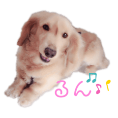 natsumi_20210207173533