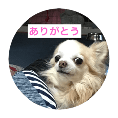 JUNKO_20210207184845