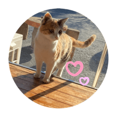 NATSUMI_20210207233634