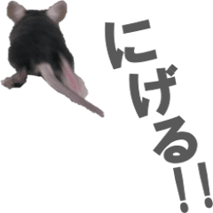 クロねずみ Line スタンプ Line Store クロねずみ Line スタンプ Line Store