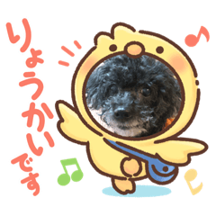 Natsumi_20210207223428