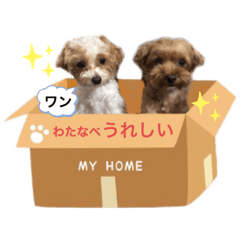 Aoi_20210208004259