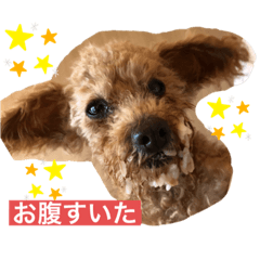 mizuki_20210208095903