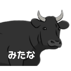 和牛ですがなにか。
