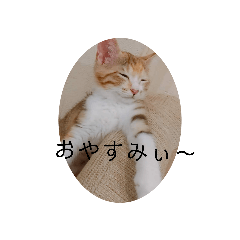 NANAMI_20210207192024