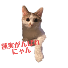 Ryuki_20210208112146