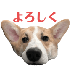 mizuki_20210207180252