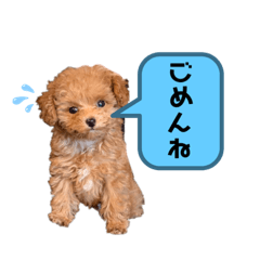 Rina_20210208125400