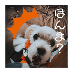 yuka_20210207173005