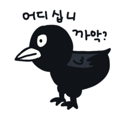 Questioning crow