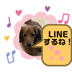 higashi-nachou_DOGstamps5