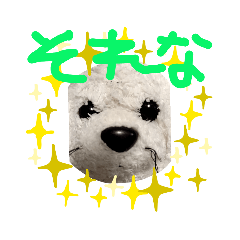 aoi_20210208141946