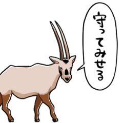 talking Arabian Oryx
