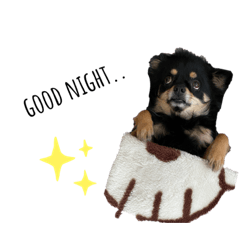 junko_20210208154025