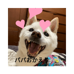 mimi_20210208174736