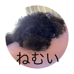 arisa_20210208193000