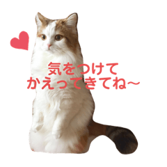 saori_20210208200638