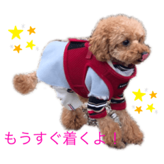 cherry_20210208235433