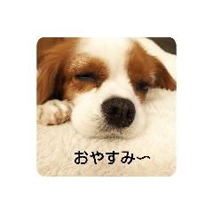 HANA_20210208192851