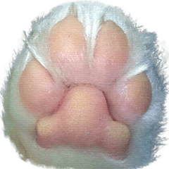 Dog's Paws Sticker