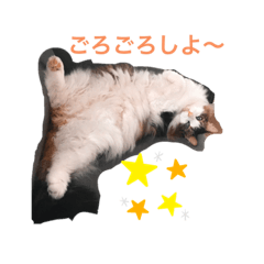 michael_20210208222836