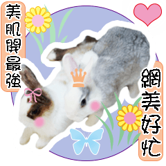 肉圓兔和貢丸兔