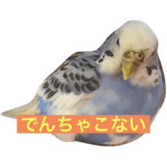 Emily_20210209103455