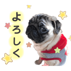 haruna_20210209013221