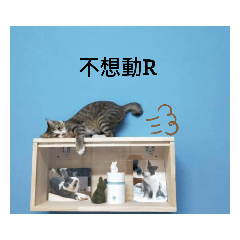 妞妞與媽咪日常